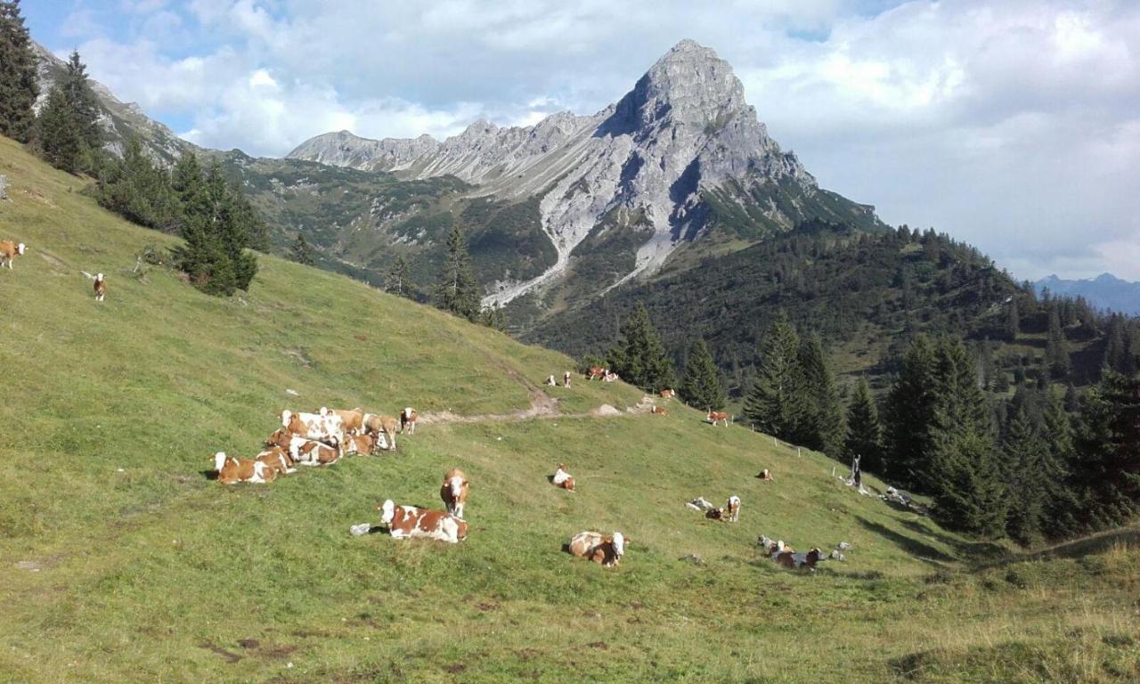 Burtscherhof In Braz Ausserbraz Eksteriør billede